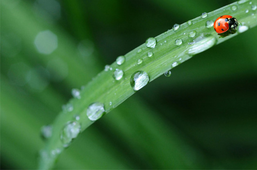 Acupunctuur depressie Acupunctuur depressie